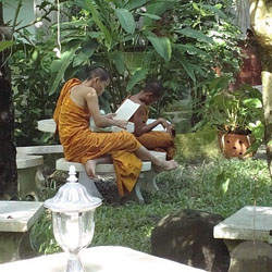 Membuat Outdoor Reading Area