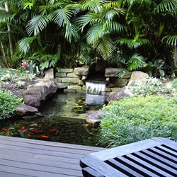 Tips Merancang Taman Tropis di Hunian Perkotaan