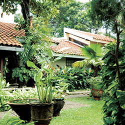 Rumah Sehat Dengan Mengidentifikasi Sumber Pencemaran