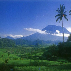 Berburu Tanah Murah di Bali, Untuk Investasi Masa Depan