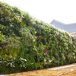 Vertical Garden Solusi Arsitektur Modern