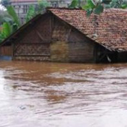Tips untuk Mengantisipasi Banjir di Rumah Rawan Banjir