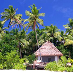 Tips Syarat Rumah Ramah Lingkungan