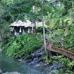 Apa itu Green Architecture?