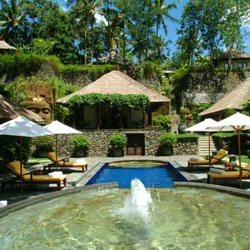 Landscape Cantik dengan Nuansa Alam Bali 