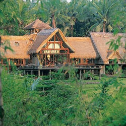 Rumah Panggung Alami di Ubud Bali