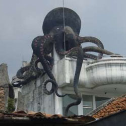 Rumah Gurita di Bandung yang Menakjubkan