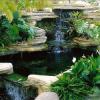 Bagaimana Merencanakan Kolam Hias Sebagai Element Pemanis Rumah