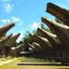 Desain Atap Unik Dari Toraja
