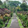 Landscape Rumah Kampung Bali Dengan Tampilan yang Sangat Alami