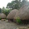 Mengenal Arsitektur Rumah Suku Dani Papua
