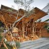 Kenapa Memilih Bambu sebagai Bahan bangunan?